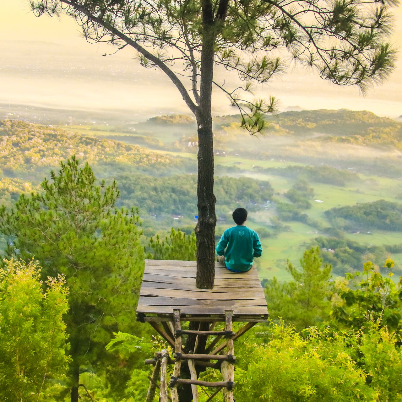 photo-of-a-man-sitting-under-the-tree-737586
